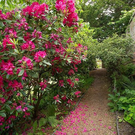 Boreham House Herstmonceux Dış mekan fotoğraf
