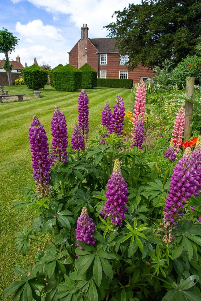 Boreham House Herstmonceux Dış mekan fotoğraf