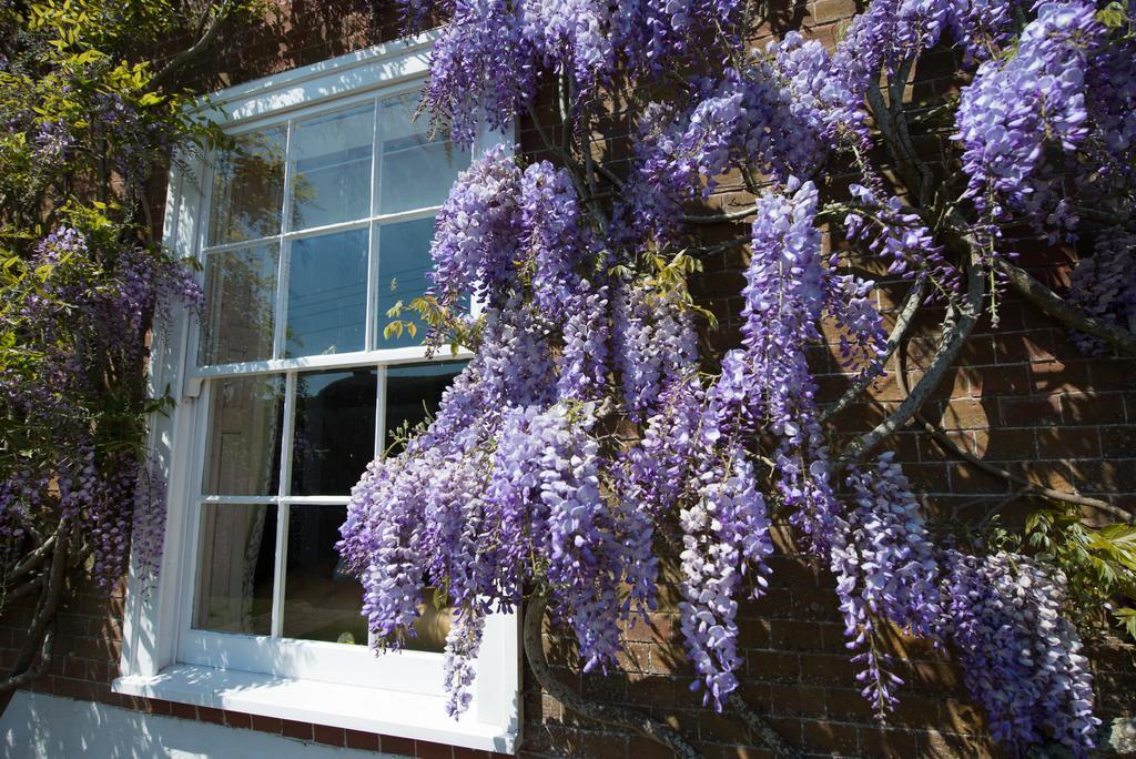 Boreham House Herstmonceux Dış mekan fotoğraf